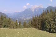 Alps - Meadow