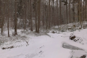 SNOW Winter, German nature park